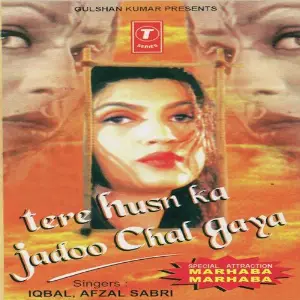 Tere Husn Ka Jaadu Chal Gaya image