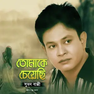 Tomake Cheyechi image
