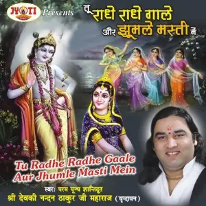 Tu Radhe Radhe Gaale Aur Jhumle Masti Mein image