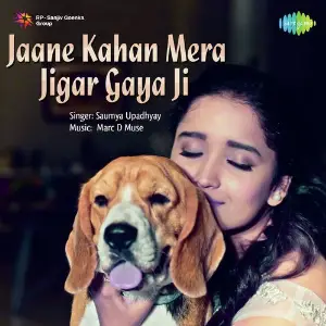 Rehnaa Hai Terre Dil Mein Saumya Upadhyay