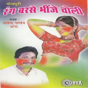 Rang Barse Bhinge Choli image