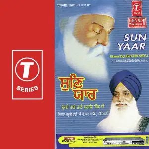 Sun Yaar image