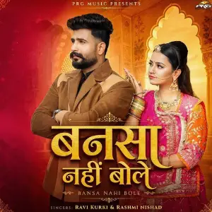 Bansa Nahi Bole image
