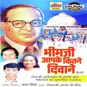 Bhimji Aapke Kitane Diwane image