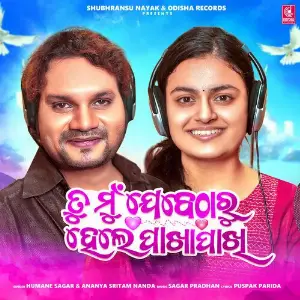 Tu Mun Jebetharu Hele Pakha Pakhi image