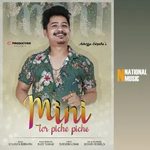 Mini Tor Piche Piche - Single image
