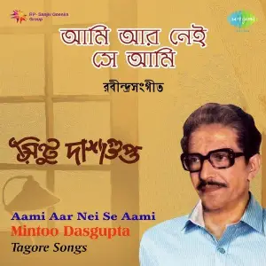 Aami Aar Nei Se Aami image