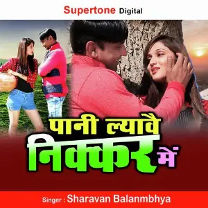 Pani Lyave Nikkar Mein image