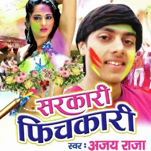 Sarkari Fichkari image