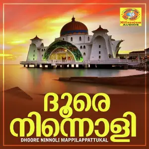 Dhoore Ninnoli Mappilappattukal image