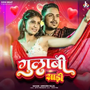 Gulabi Sadi image