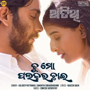 Tu Mo Palakara Chhai (From Atithi) image