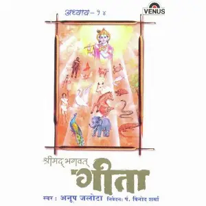 Shreemad Bhagwat Geeta - Vol. 14 image