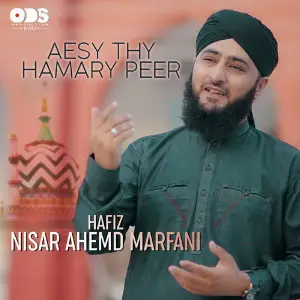 Aesy Thy Hamary Peer - Single image
