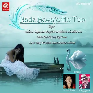 Bade Bewafa Ho Tum image
