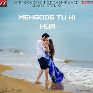 Mehsoos Tu Hi Hua image