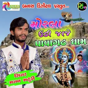 Morla Udi Jaji Pavagadh Na Dham image