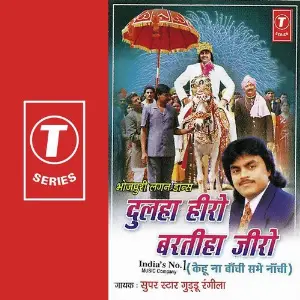 Dulha Hero Barteha Jeero image