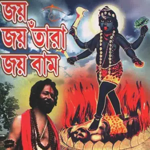 Joy Joy Tara Joy Bam image