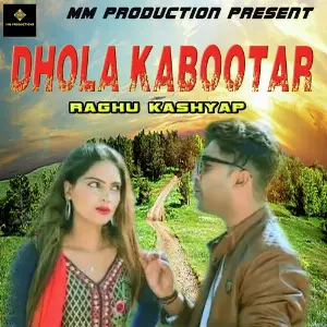Dhola Kabootar image