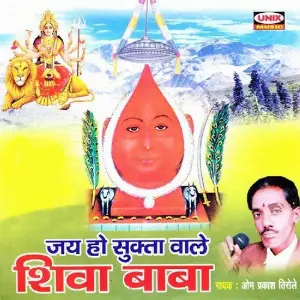 Jai Ho Sukta Wale Shiva Baba image