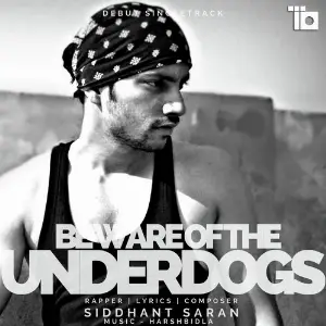 Beware Of The Underdogs image