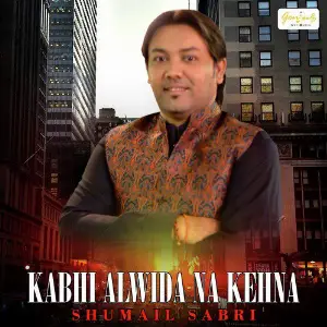 Kabhi Alwida Na Kehna - Single image