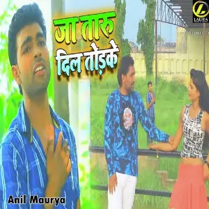Ja Taru Dil Tod Ke image