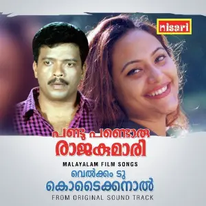 Pandu Pandoru Rajakumari image