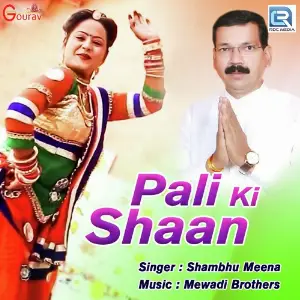 Pali Ki Shaan image
