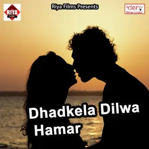 Dhadkela Dilwa Hamar image
