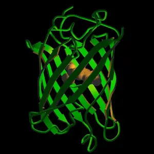 Mere Rashke Qamar image