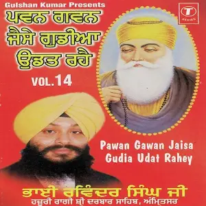Pawan Gawan Jaisa Gudia Udat Rahey (Vol. 14) image