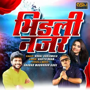 Bhidli Najar image