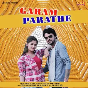Garam Parathe image