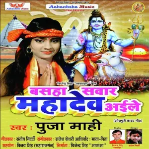 Basaha Sawar Mahadev Aaile image