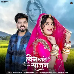 Bin Thare Jino Sajan image