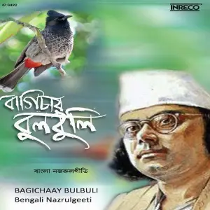 Bagichaay Bulbuli image