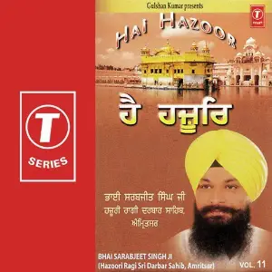 Hai Hazoor (Vol. 11) image