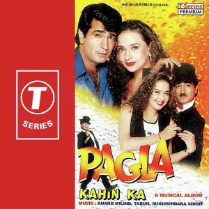 Pagla Kahin Ka Sukhwinder Singh, Anand, Tabun, Milind