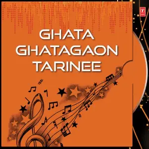 Ghata Ghatagaon Tarinee image