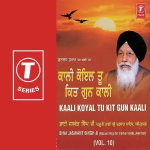 Kaali Koyal Tu Kit Gun Kaali (Vol. 10) image
