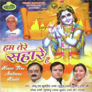 Hum Tere Sahare Hai image
