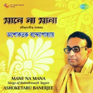 Mane Na Mana image
