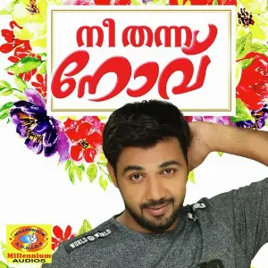 Nee Thanna Novu image