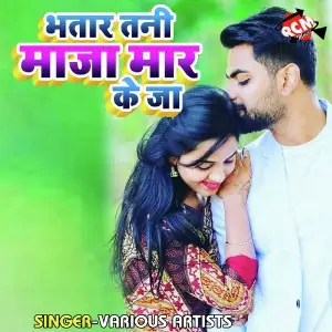 Bhatar Tani Maza Mar Ke Ja image