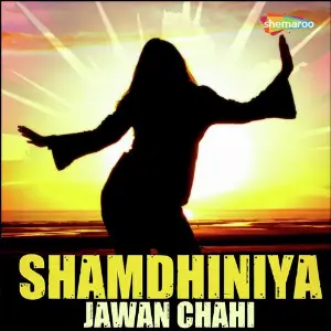 Shamdhiniya Jawan Chahi image
