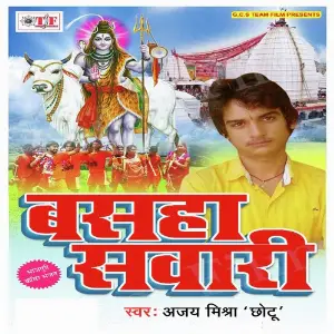 Basaha Sawari image