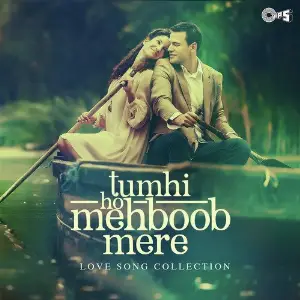 Tumhi Ho Mehboob Mere - Love Song Collection image