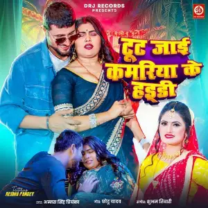 Tut Jaai Kamariya Ke Haddi image